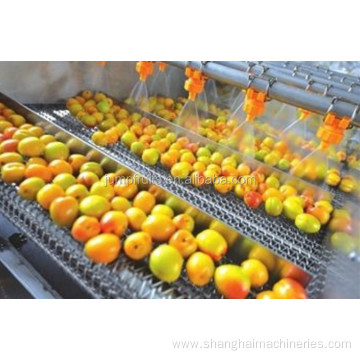 industrial fruits vegetable washing and drying machine